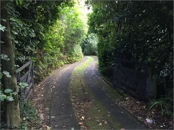 Nikau Retreat - New Plymouth