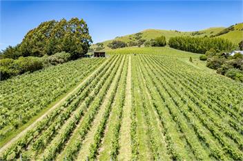 French Peak Loft (Bachcare) - Akaroa