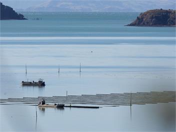 Tio Point (Bachcare) - Papakura