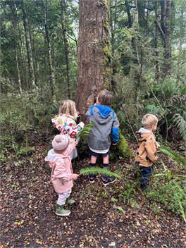Awatea Chalet - Ohakune