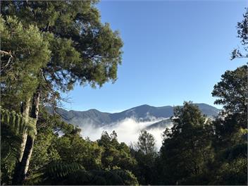 Relaxed Kenepuru Sounds Getaway -