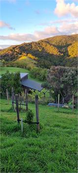 Whananaki Barn & Cabins: Our Off-Grid Family Escape -