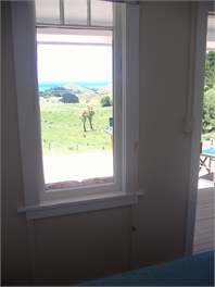 Redwood Cottage POURERERE BEACH - Waipawa