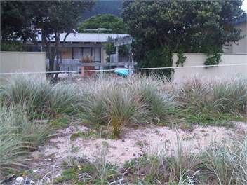 Tata On the Beach - Takaka