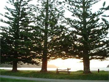 Port Charles Cottage - Coromandel