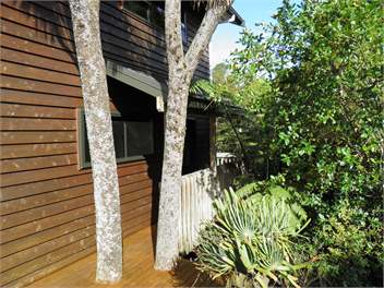 Treetops Cottage at the Castle - Whitianga