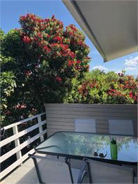 Sea View - Golden Bay
