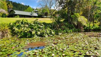 The Lodge at Takou River *RIVERSIDE RETREAT* - Kerikeri