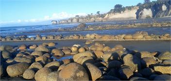 Lazy Seal Cottages - 