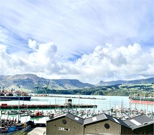Lyttelton Boatique House - Christchurch