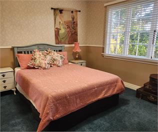 Eclectic Cottage - New Plymouth