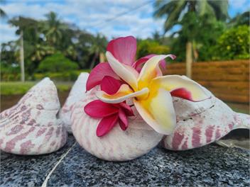 Te Aro Villa 1 in Muri - Rarotonga