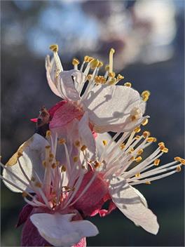 Mates & Family Get together - Roxburgh