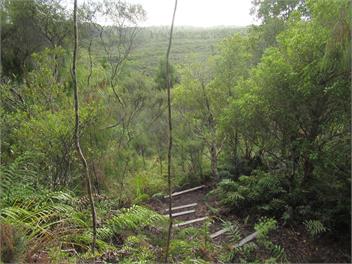 Immerse yourself in the West Coast native flora and fauna - swimming, sunsets and tranquility - Westport