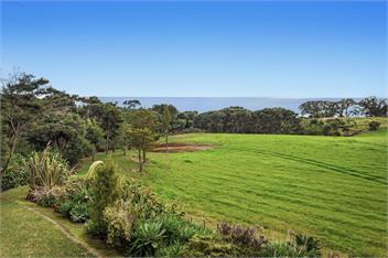Little Kowhai (Bachcare) - 