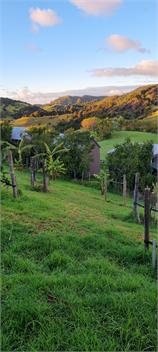 Whananaki Barn & Cabins: Our Off-Grid Family Escape -