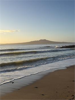 Entire guesthouse Milford Beach Auckland New Zealand - 
