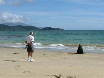Kowhai Lane Holiday Home - Stewart Island