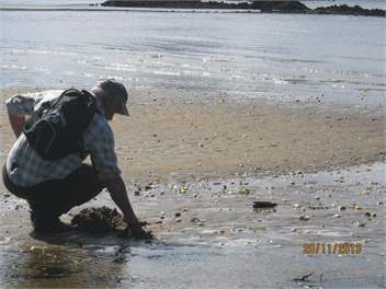 Ringaringa Beach Cottage - Oban