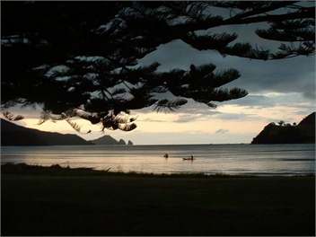 Port Charles Cottage - Coromandel
