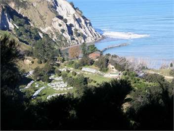 Macrocapa heights - tokomaru bay