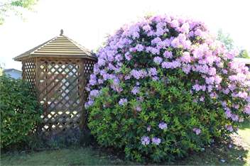 Dazaway Cottage - Taupo