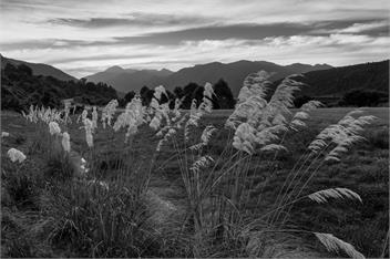Alpine Holiday Home "The Barn" Jackson's Arthurs Pass - West Coast