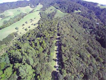 Seaviews, Cedar hot tub, Kayaking, Native Virgin bush - WHANGAREI