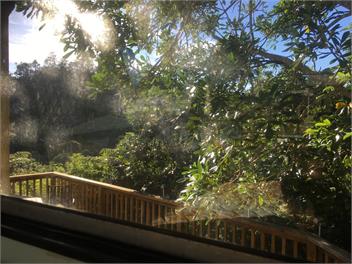 Tui Terrace - Tairua