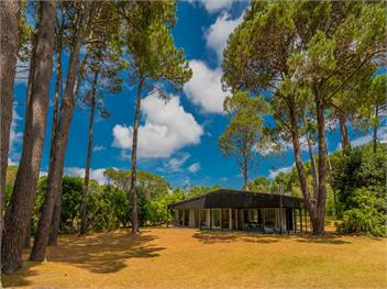The Golden Hideaway (Bachcare) - Matarangi