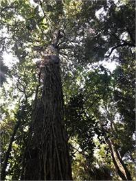 2111 Kahutara Rd - Pirinoa