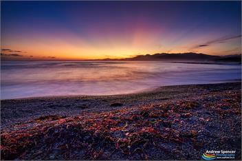 Barlow's Bach - Kaikoura
