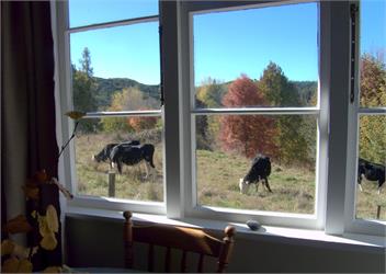 Orinoco Retreat-Really Quiet-Pet Friendly-Artist Studio - Motueka