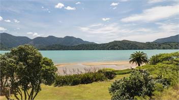 Linkwater Wonder (Bachcare) - Picton