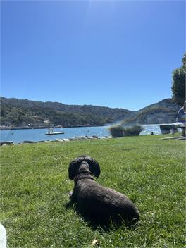 Sun Trap in Picton - Picton