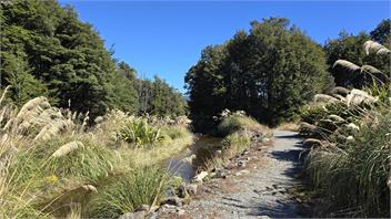 Solitude - St Arnaud