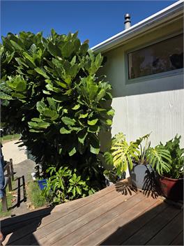 Fantail Cove - 3121