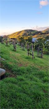 Whananaki Barn & Cabins: Our Off-Grid Family Escape -