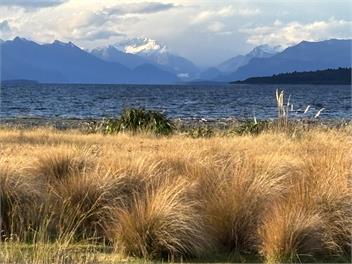 The Stoney Shore -