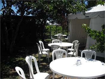  Villa In The Vines - Martinborough  - South Wairarapa