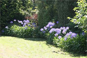 Walnut Grove Lodge sleeps 26 - Christchurch