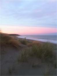 Bach No. 5 at Sunny Riversdale - Riversdale Beach Masterton 