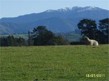 Pioneer Cottage -