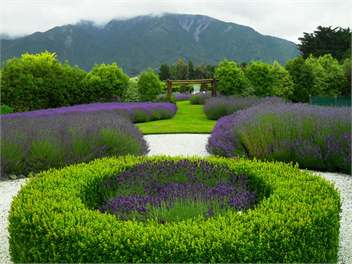 Romantic Cottage - Kaikoura
