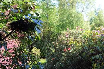 Dazaway Cottage - Taupo
