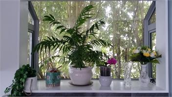 Alice House - One bedroom Unit - Auckland