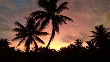 Kaliki Lodge - Niue Island