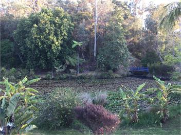 Protea Park Chalet - Kaitaia