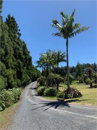 Keri Country Cottage - Bay Of Islands
