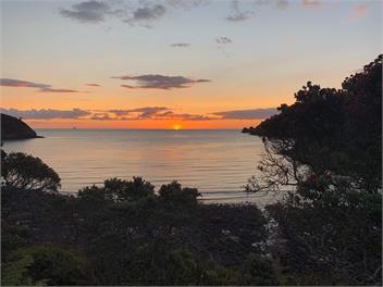 “The Yard master” Schooner Bay - Great Barrier Island